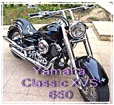 Yamaha Classic xvs 650 sitzbank