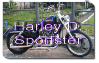 Harley Davidson Sportster up 2003 seats