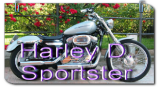 Harley Davidson Sportster Iron sitzbank