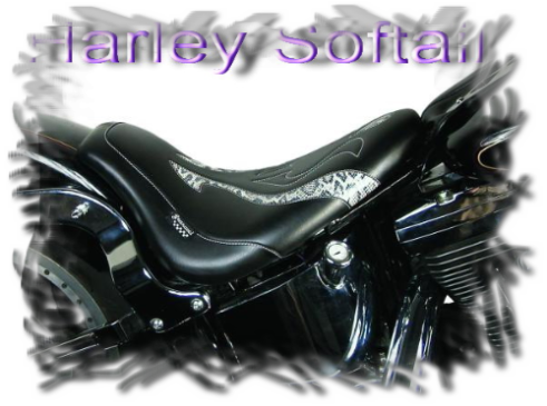 Harley Softail Fat Boy Train sitzbank