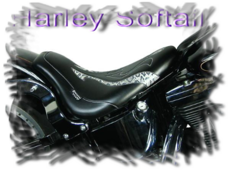 Harley Softail 1340cc