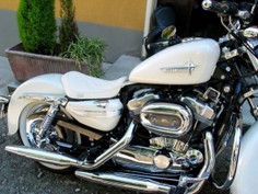 Harley sportster seat white with rde thread.jpg