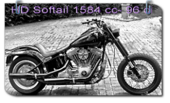 Selle Harley Softail 1585cc