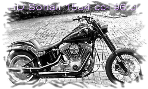Harley Softail Night Train sitzbank